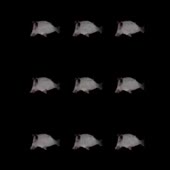 320x320