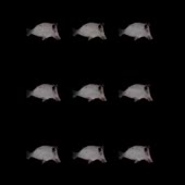 320x320