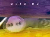 480x360