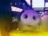 480x360