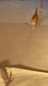 608x1080