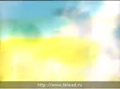 320x240