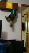 360x640