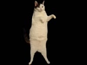 480x360
