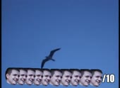 490x360
