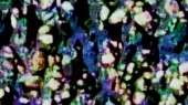 300x168