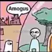 360x360
