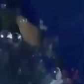 360x360