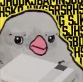 362x360