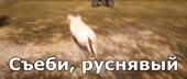 680x288