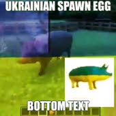 360x360