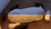 640x360