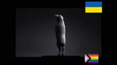 1280x720