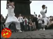 320x240