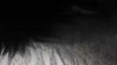 640x360