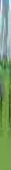 54x785