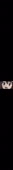 156x1900