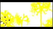 1280x720