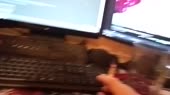 1280x720