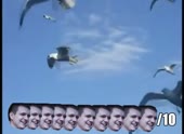490x360