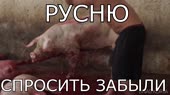 1280x720
