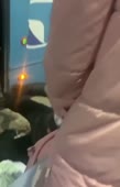 544x848