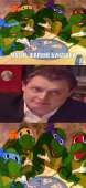 497x1080