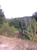360x480