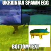 360x360