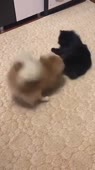 360x640