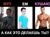 1072x800