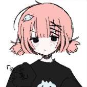 736x736