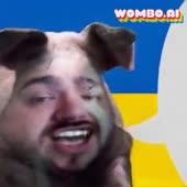 256x256