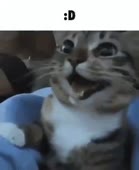 256x312