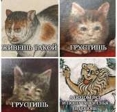 500x480