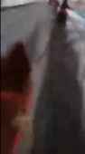 598x1080
