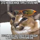1096x1080