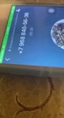 464x848