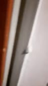 204x360