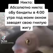 576x576
