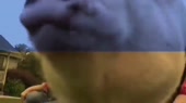 640x360