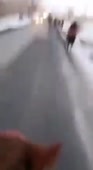 238x432