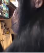 600x720
