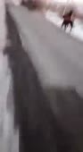 238x432