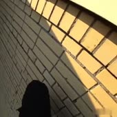 360x360