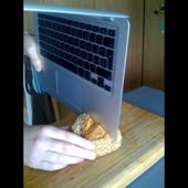 720x720