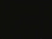 352x264
