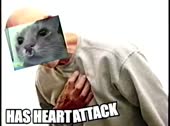 482x360