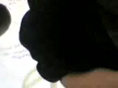 320x240
