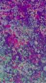 500x889